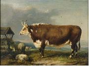 Hereford Bull with Sheep by a Haystack